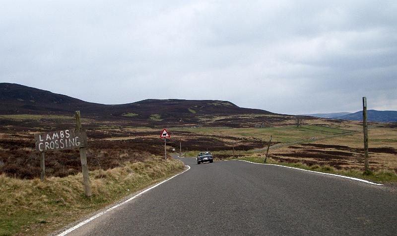 Perth-Aviemore, overzicht dag3, (116).JPG